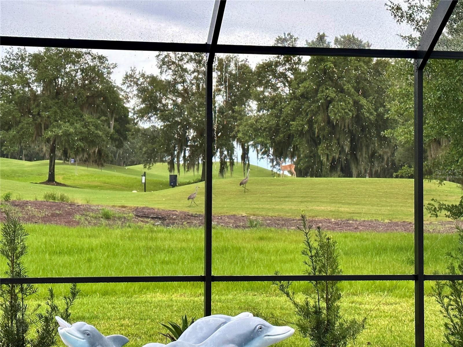 SOUTHERN HILLS PLANTATION PH 2 - Residential