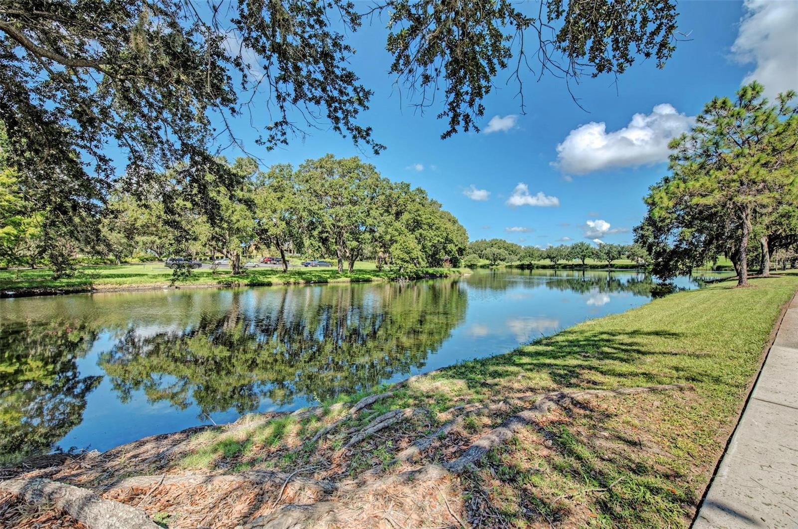 RIVER CLUB - Residential