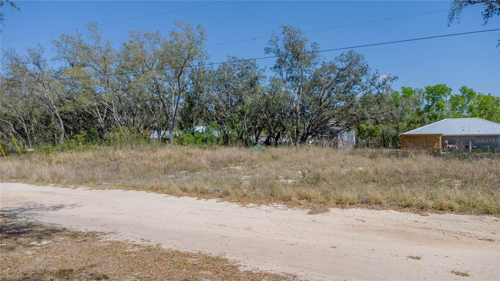 Photo of 2556 N Johnson Road, Avon Park, FL 33825 (MLS # L4951505)