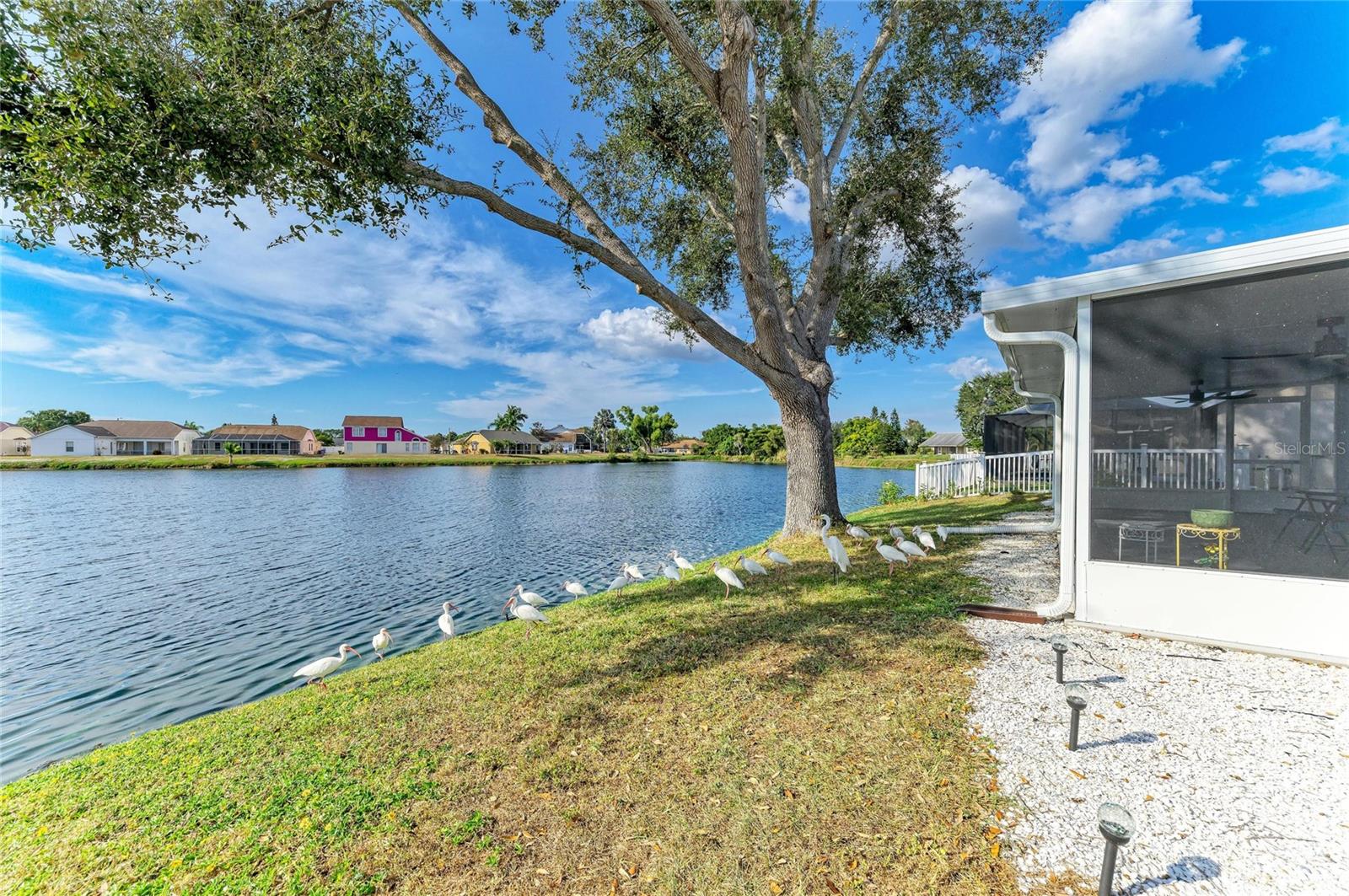 BRADEN RIVER LAKES PH IV - Residential