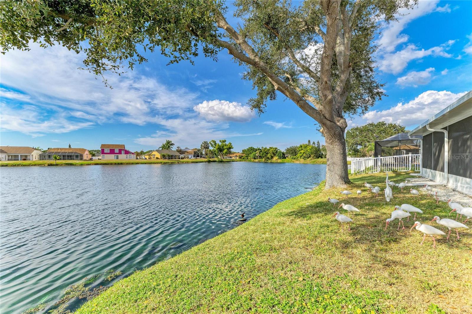 BRADEN RIVER LAKES PH IV - Residential