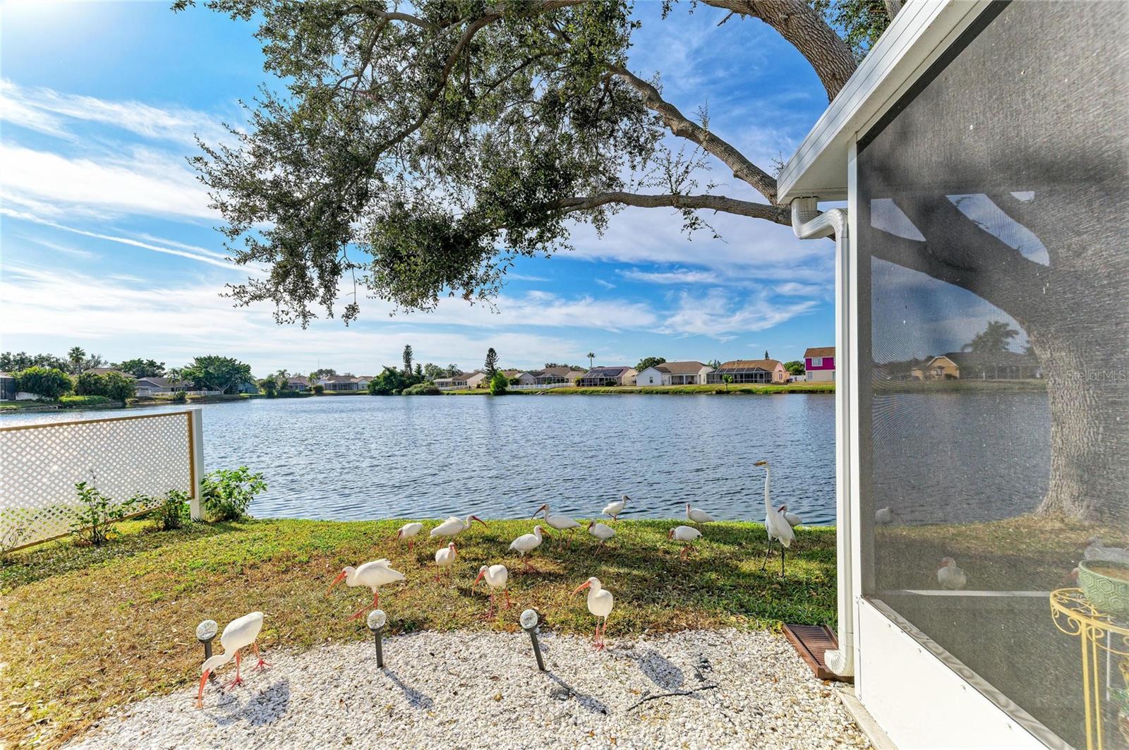 BRADEN RIVER LAKES PH IV - Residential