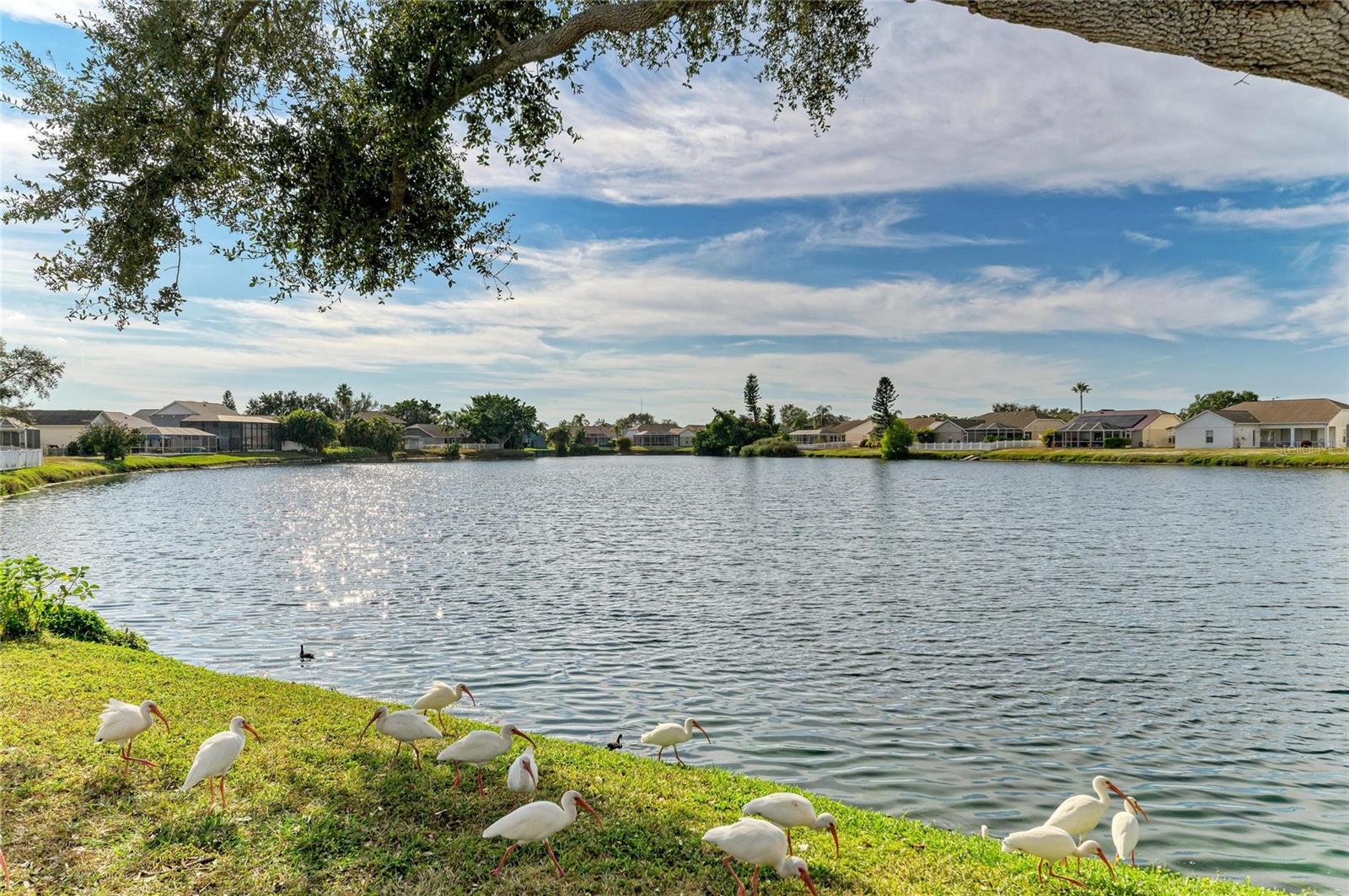 BRADEN RIVER LAKES PH IV - Residential