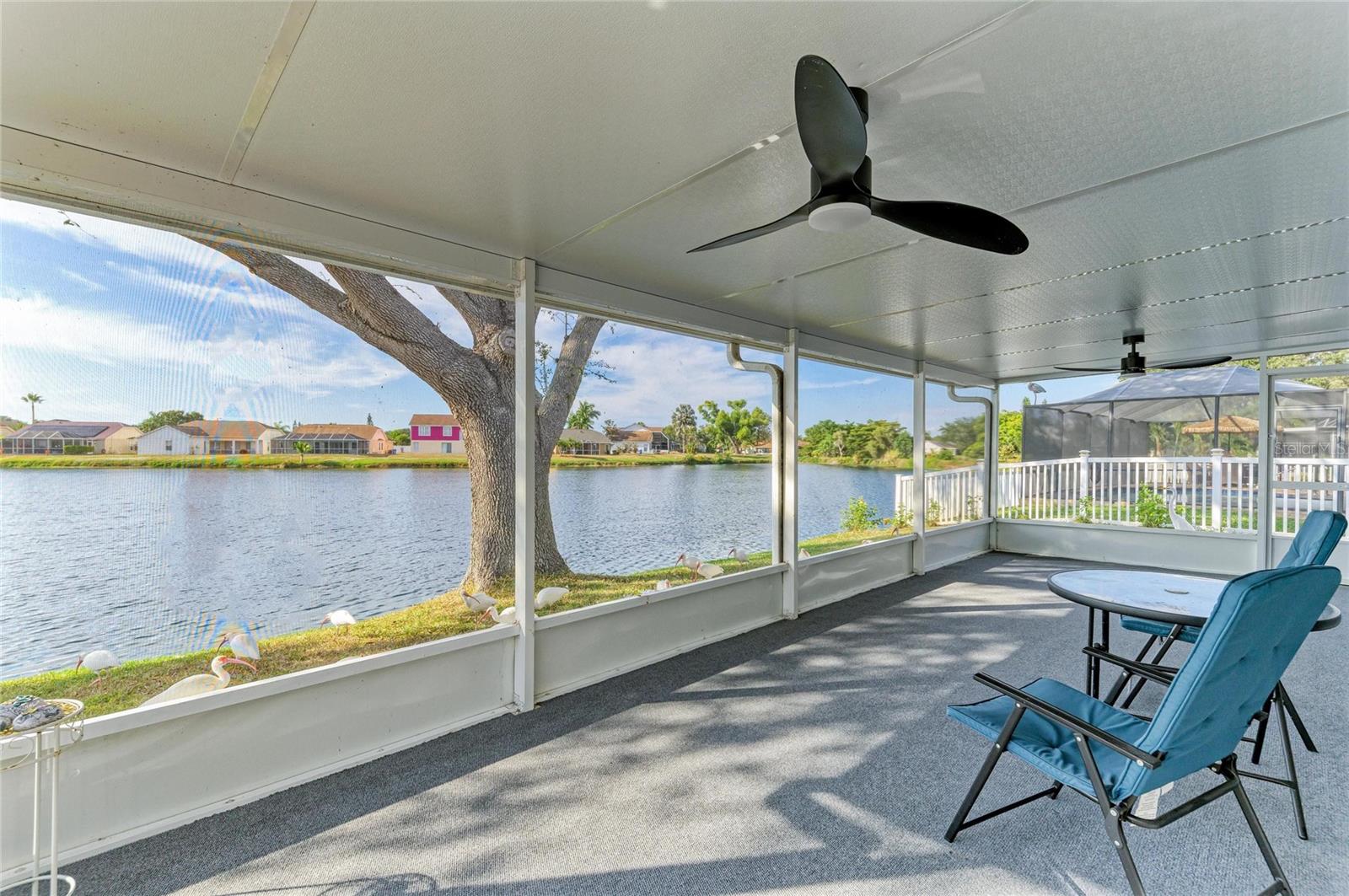 BRADEN RIVER LAKES PH IV - Residential