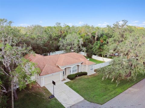 A home in NEW PORT RICHEY