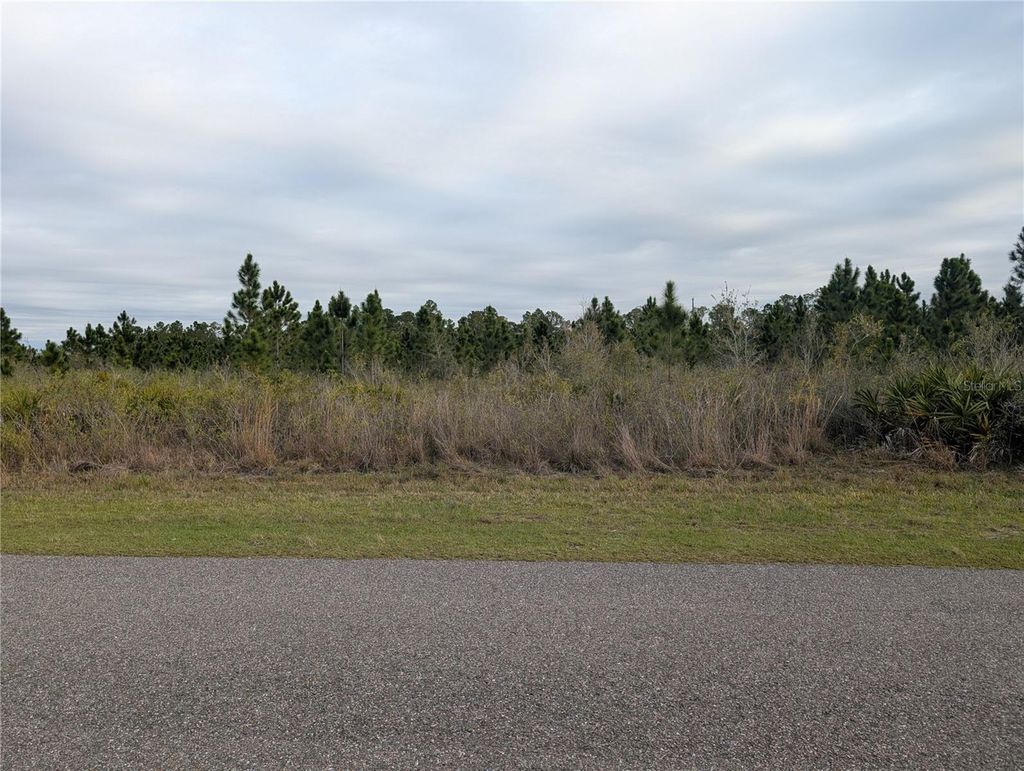 Photo of 218 Poinciana Drive, Indian Lake Estates, FL 33855 (MLS # P4938159)
