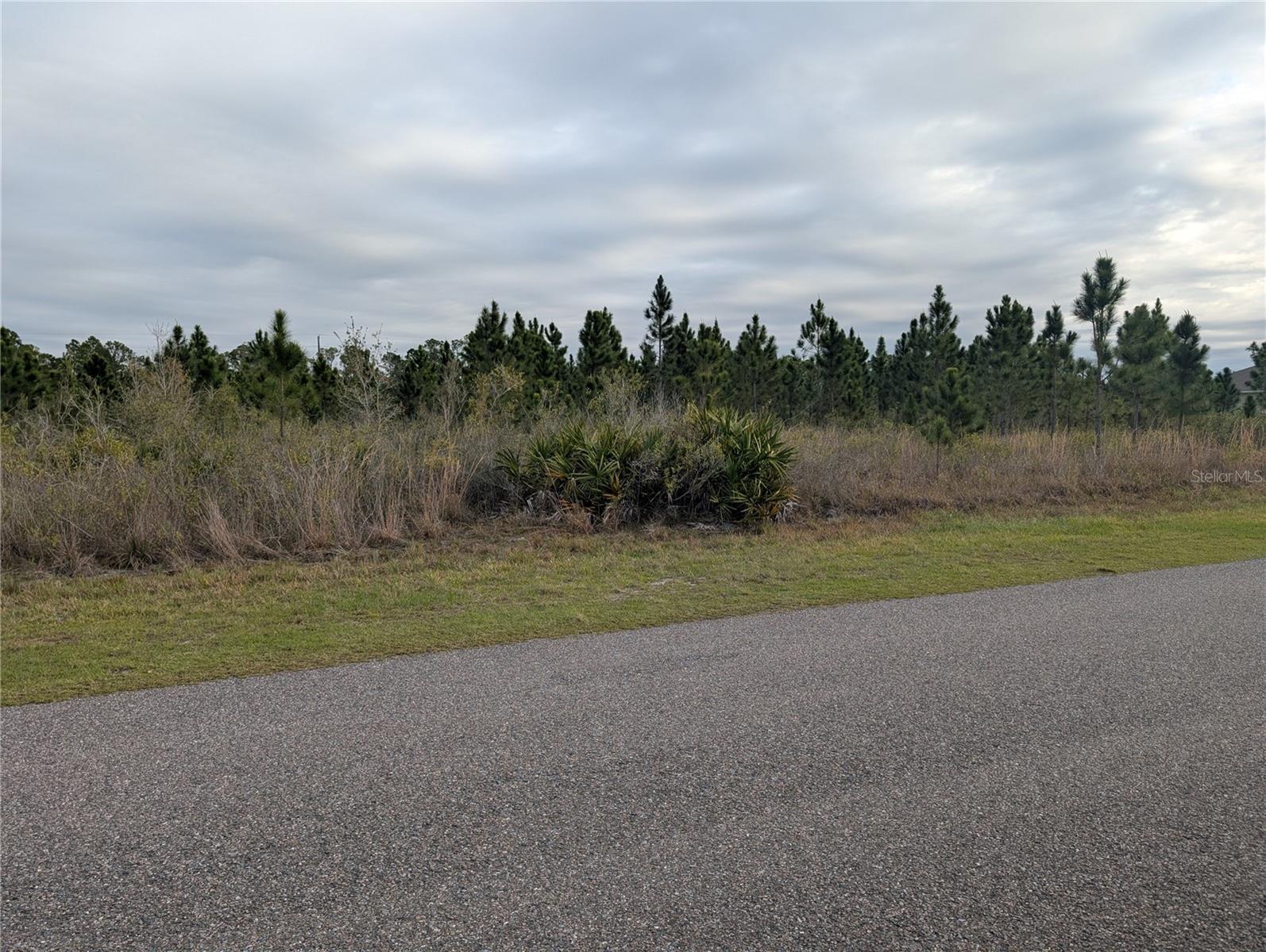 INDIAN LAKE ESTATES - Land