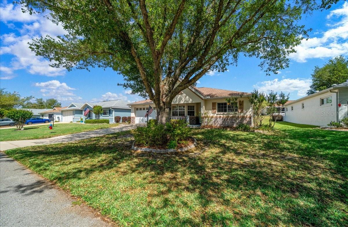 ON TOP OF THE WORLD - Residential