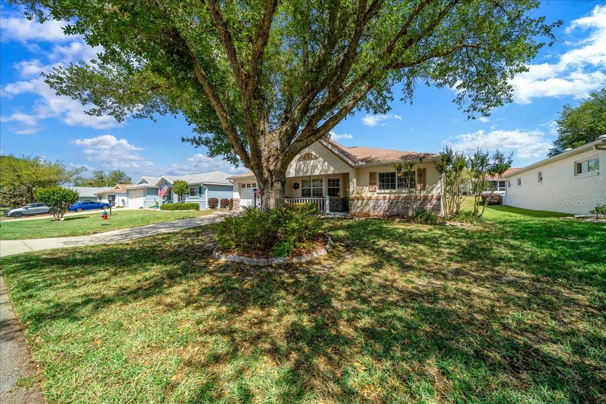 ON TOP OF THE WORLD - Residential