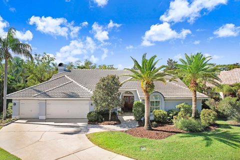 A home in PALM HARBOR