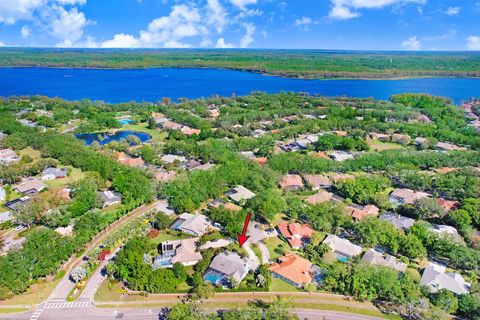 A home in PALM HARBOR