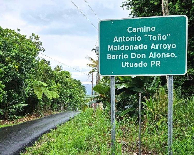 Carr 612 DON ALONSO, CARR 612, PUERTO RICO,00641
