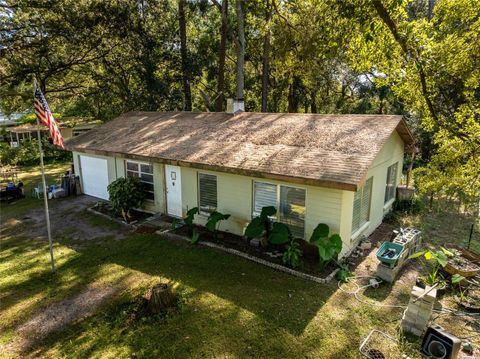 Photo of 27726 Luella Avenue, Paisley, FL 32767 (MLS # V4945975)