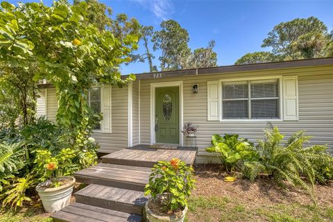 A home in NEW SMYRNA BEACH