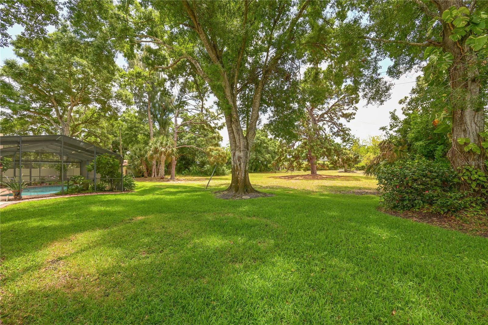 FOREST LAKES SOUTH - Residential