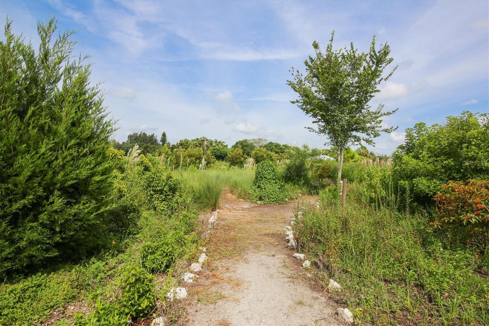 MEADOW WALK - Residential