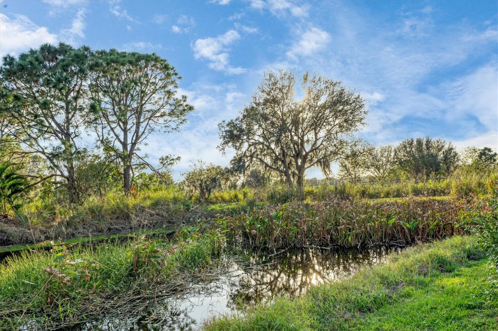 MEADOW WALK - Residential