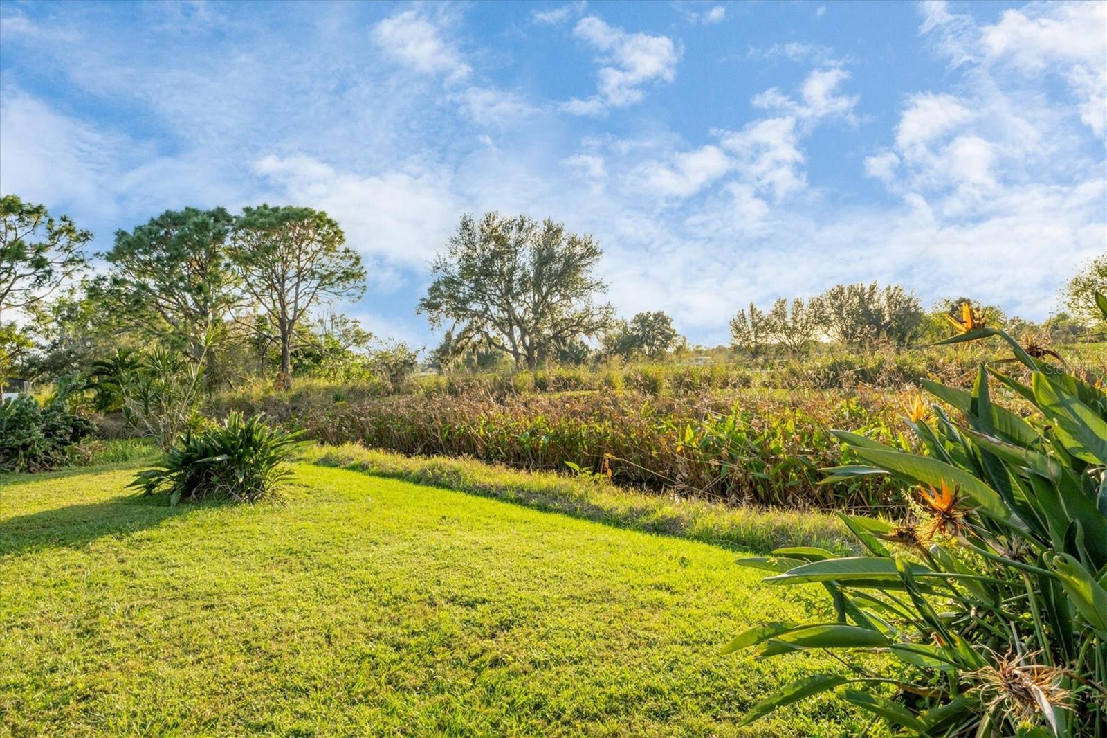 MEADOW WALK - Residential