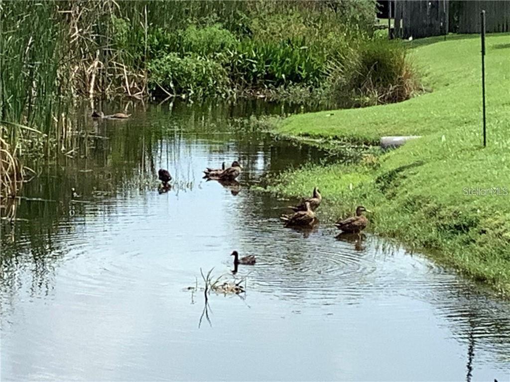 BELLA VISTA ON LAKE - Residential