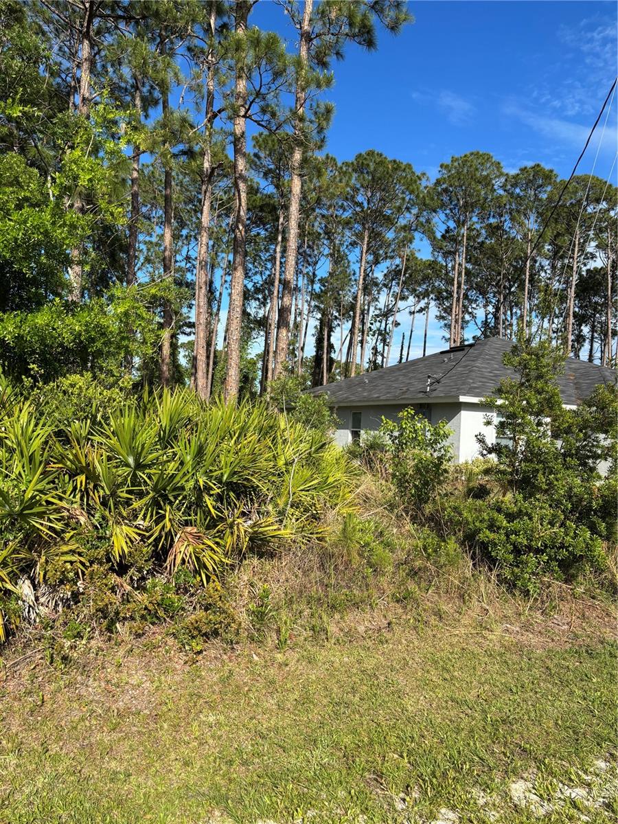 153 ULLIAN TRAIL