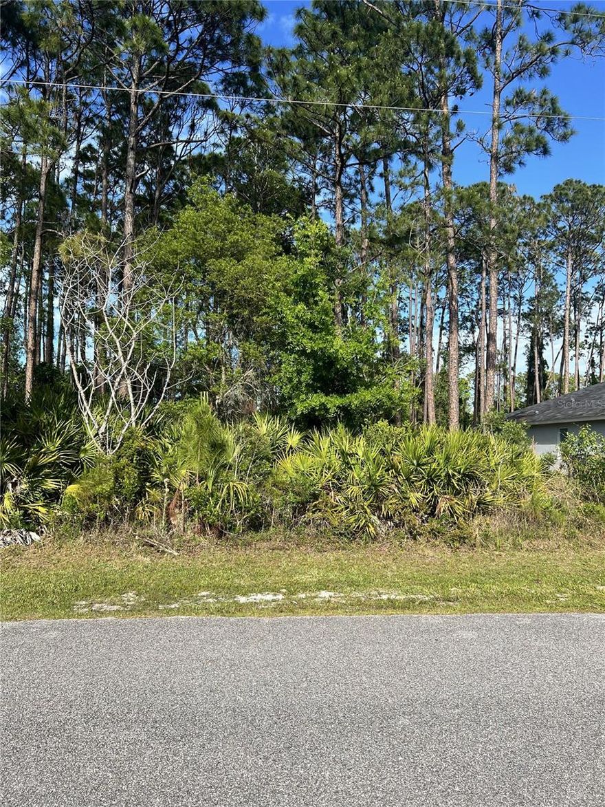 Uncover this Opportunity in Palm Coast, Florida! Secure this 10,230 SQ FT Lo. A Perfect location for you to build your dream home or duplex.
