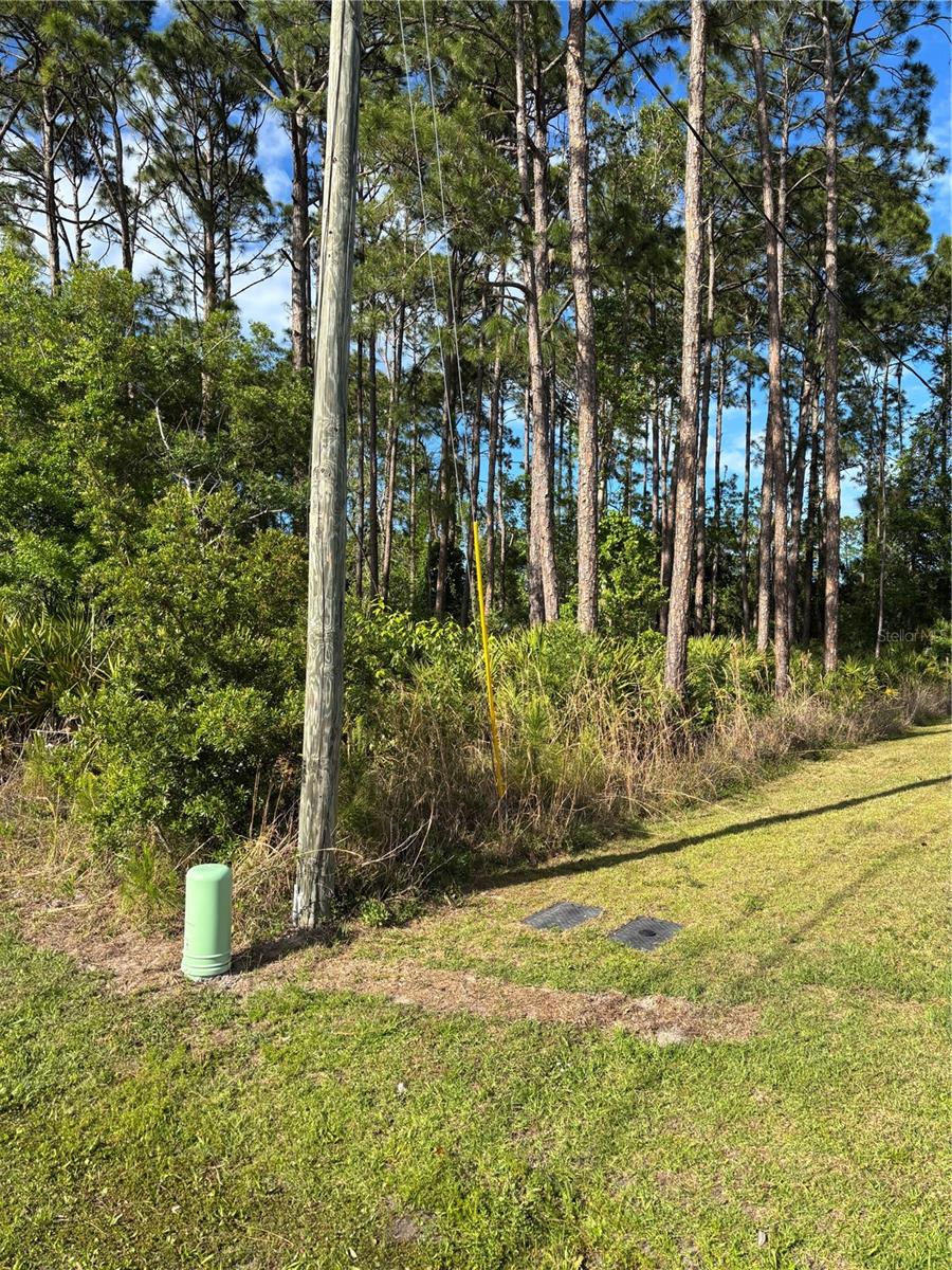 153 ULLIAN TRAIL