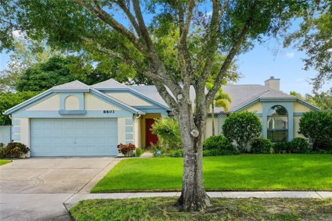 A home in ORLANDO