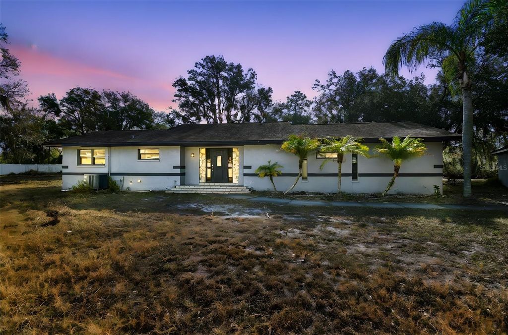 Photo of 10001 Water Works Lane, Riverview, FL 33578 (MLS # TB8476913)