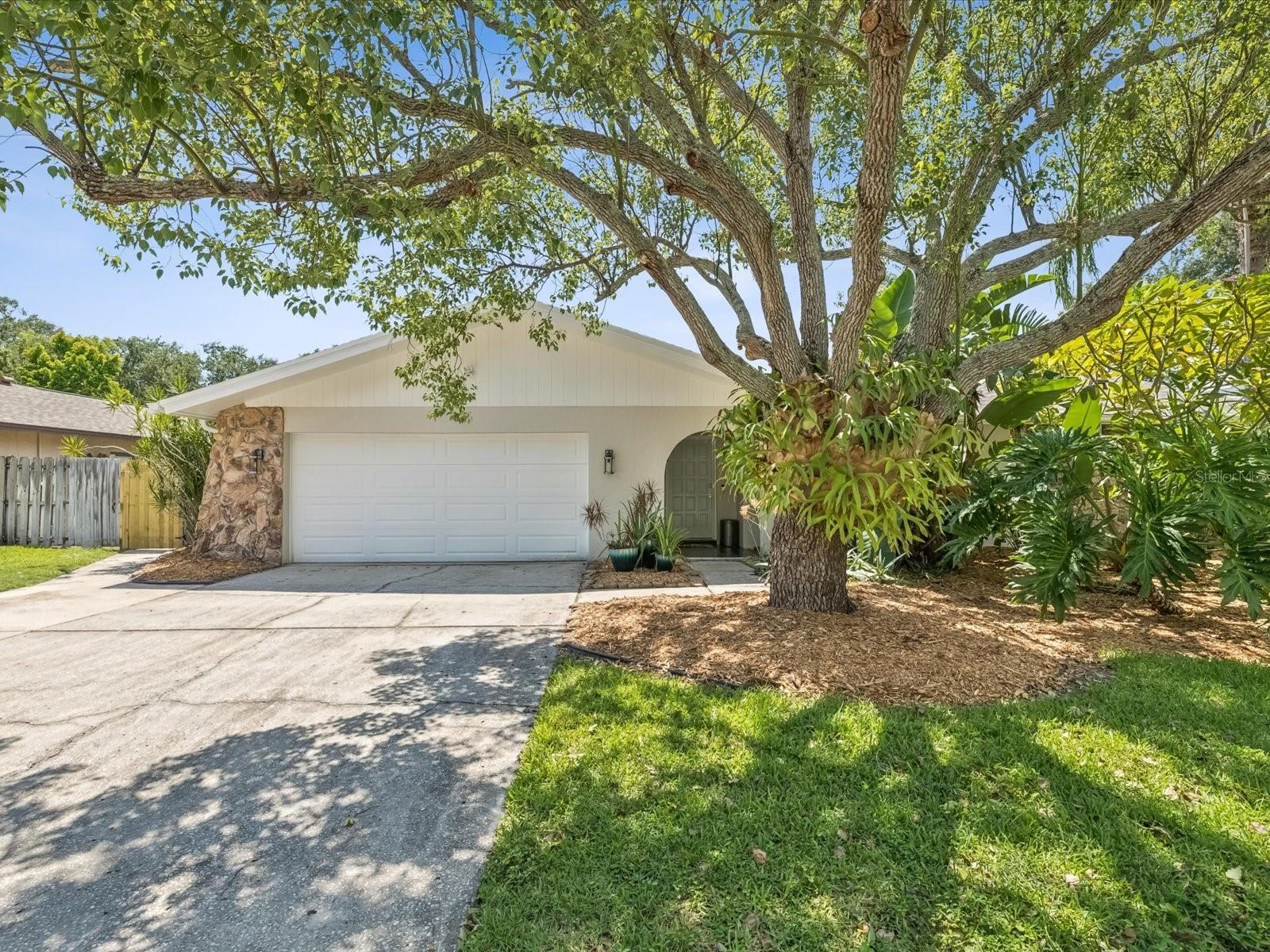 Welcome to your slice of Dunedin paradise! This pristine 3-bedroom, 2-bath pool home offers the perfect blend of Florida charm, space, and location—tucked into one of Dunedin’s most desirable, golf cart-friendly neighborhoods.
This delightful 1,832 sq ft ranch features a thoughtful split-bedroom layout for added privacy. The primary suite includes an ensuite bath and sliding doors that pocket away to reveal the stunning pool—perfect for an early morning dip. The family room and dining room also open up to the beautiful backyard, creating seamless indoor/outdoor living and entertaining.
Solid hardwood acacia floors flow throughout most of the home, adding warmth and timeless style. You’ll love the spacious living room, formal dining area, and large family room with a cozy fireplace—ideal for gathering with friends and family. The indoor laundry room is conveniently located near the second and third bedrooms.
Your backyard is truly a private oasis—featuring a HUGE 20 x 30 saltwater pool with a 10-ft deep end! The fully fenced, resort-style yard also includes a firepit area and faces west for spectacular sunset views.
Peace of mind comes standard thanks to major upgrades completed in the last five years: brand-new roof (2024), impact-rated windows (2021), hurricane-rated garage door (2024), upgraded electrical panels (home & pool 2022), new water heater (2025), and updated saltwater system with variable-speed pump and filter (2024).
Move right in and enjoy tasteful updates including new light fixtures and ceiling fans, freshly painted interiors and exteriors in neutral tones, and professionally retextured ceilings—no popcorn in sight!
This lovely home is high and dry—NOT in a flood or evacuation zone. Jump in your golf cart and cruise to downtown Dunedin to enjoy incredible restaurants, boutique shopping, and year-round festivals. You’re also just minutes from Honeymoon Island and award-winning breweries, the Pinellas Trail, the revitalized Dunedin Golf & Country Club, and the Toronto Blue Jays Spring Training stadium.
With top-rated schools nearby, this home offers the complete Florida lifestyle. In June 2025, Southern Living named Dunedin “The Hidden Florida Getaway That Should Be On Your Radar”—come see why. Schedule your private tour today!