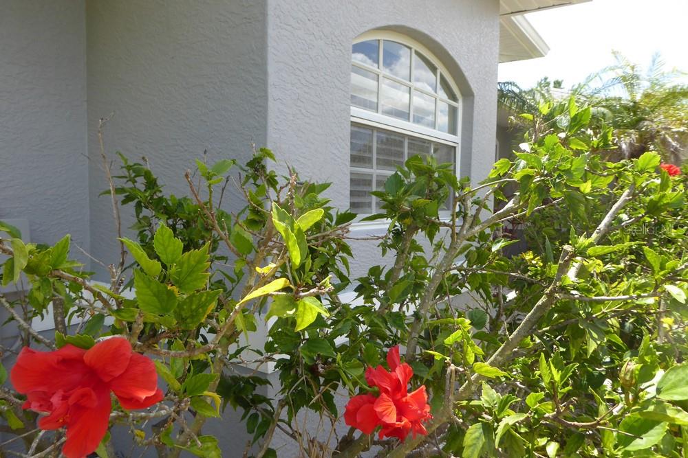328 BAYTREE DRIVE