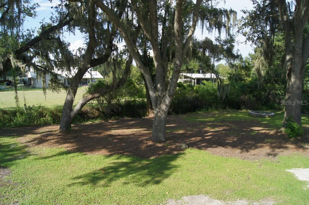 3412 MEDULLA ROAD