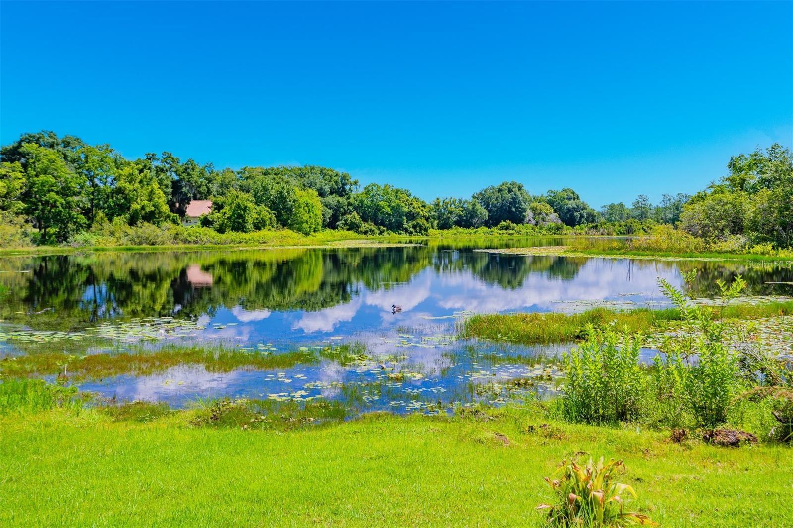 LAKES OF DELAND PH 02 - Land