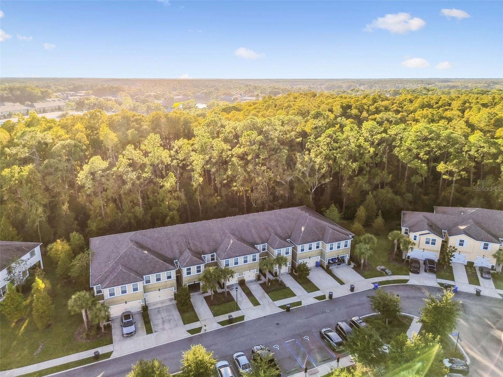 LAKESHORE PRESERVE - Residential