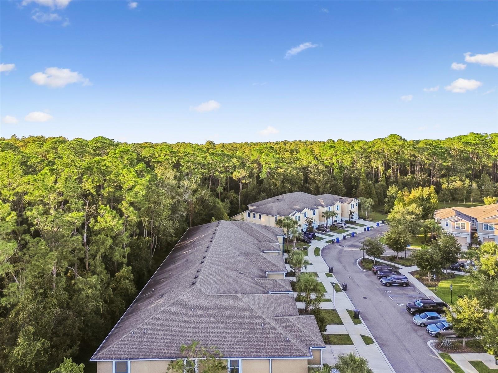 LAKESHORE PRESERVE - Residential