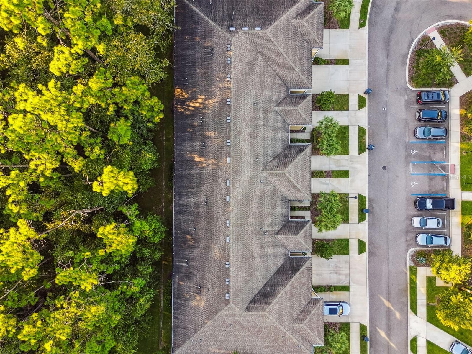 LAKESHORE PRESERVE - Residential