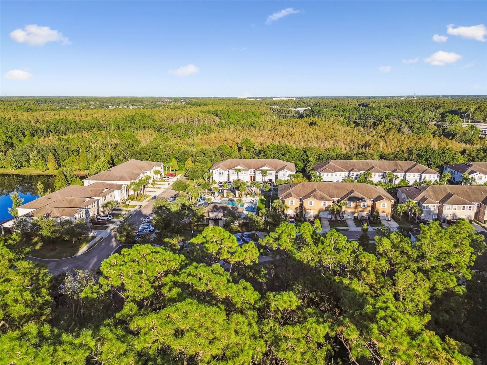 LAKESHORE PRESERVE - Residential