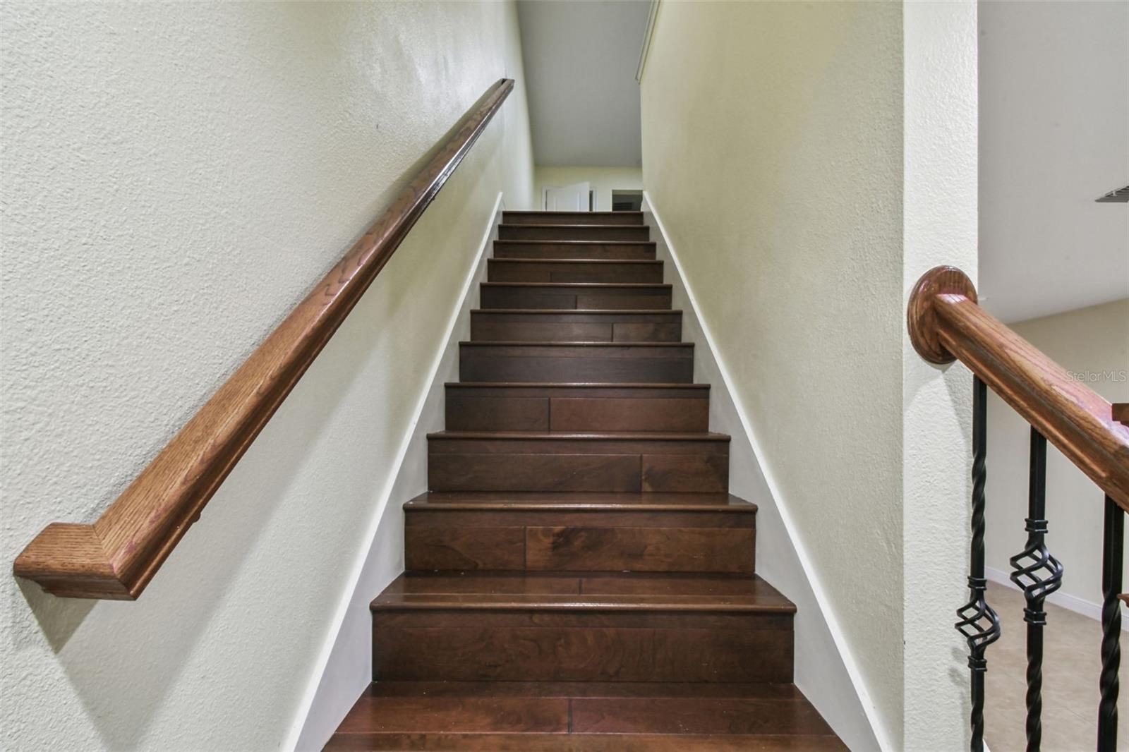 LAKESHORE PRESERVE - Residential