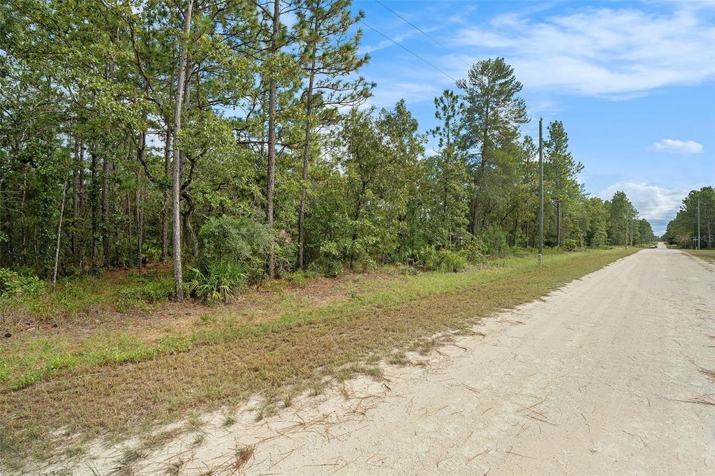Photo of 16246 Malden Road, Brooksville, FL 34614 (MLS # TB8432019)