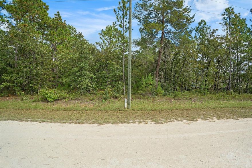 Discover the perfect spot to create your Florida dream home on this beautiful nearly half-acre lot in the highly desirable Royal Highlands community. Offering 100 feet of frontage and 200 feet of depth, the property provides ample space for a custom build, pool, and outdoor living area. Enjoy the privacy of a quiet neighborhood surrounded by nature while staying close to US-19, shopping, dining, and the world-famous Weeki Wachee Springs. With no HOA or CDD fees, and plenty of room for your boat, RV, or toys, this lot is ideal for those seeking both freedom and convenience. Whether you’re ready to invest or build your personal retreat, this is a wonderful opportunity to own a piece of Florida’s Nature Coast.