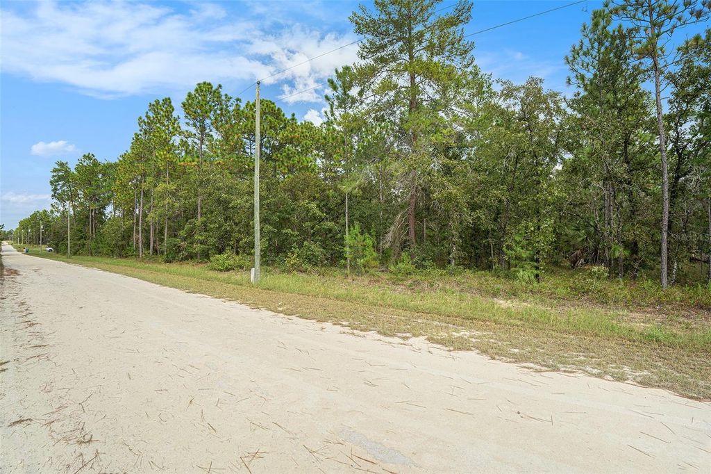 Photo of 16246 Malden Road, Brooksville, FL 34614 (MLS # TB8432019)