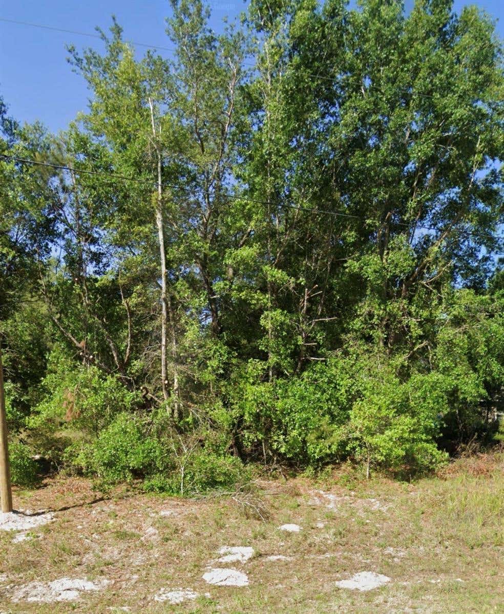 Photo of Fisher Road, Ocklawaha, FL 32179 (MLS # OM729763)