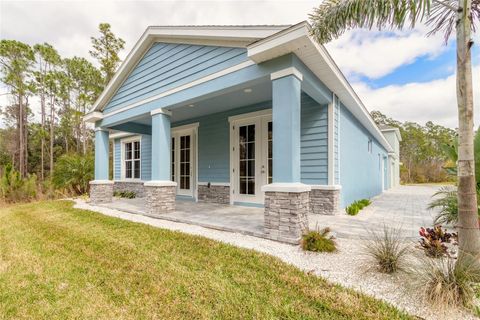 A home in NEW SMYRNA BEACH