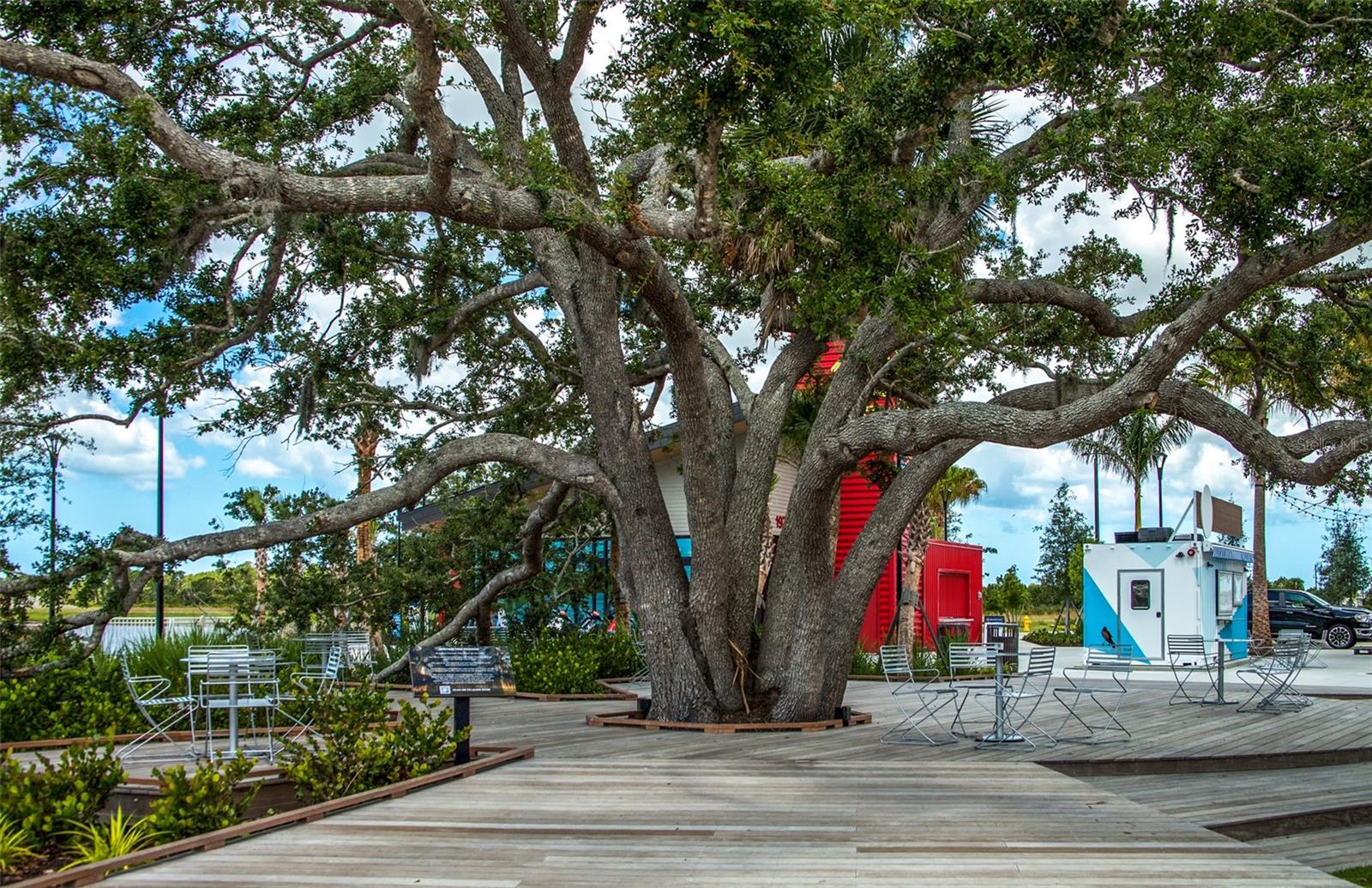 MYRTLE TRACE AT PLAN - Residential