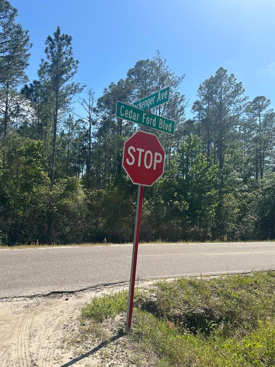 FLAGLER ESTATES TR 1032 - Land