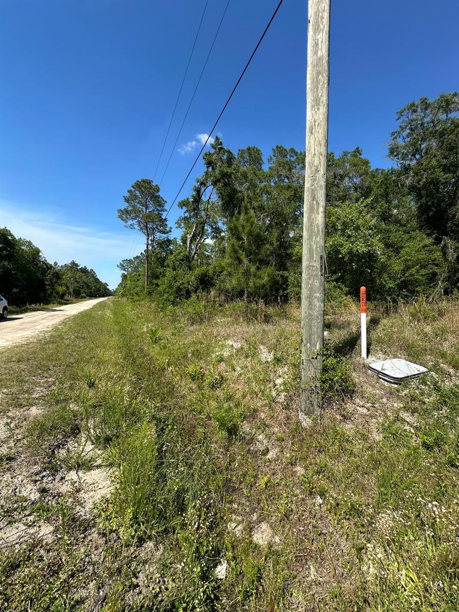 FLAGLER ESTATES TR 1032 - Land