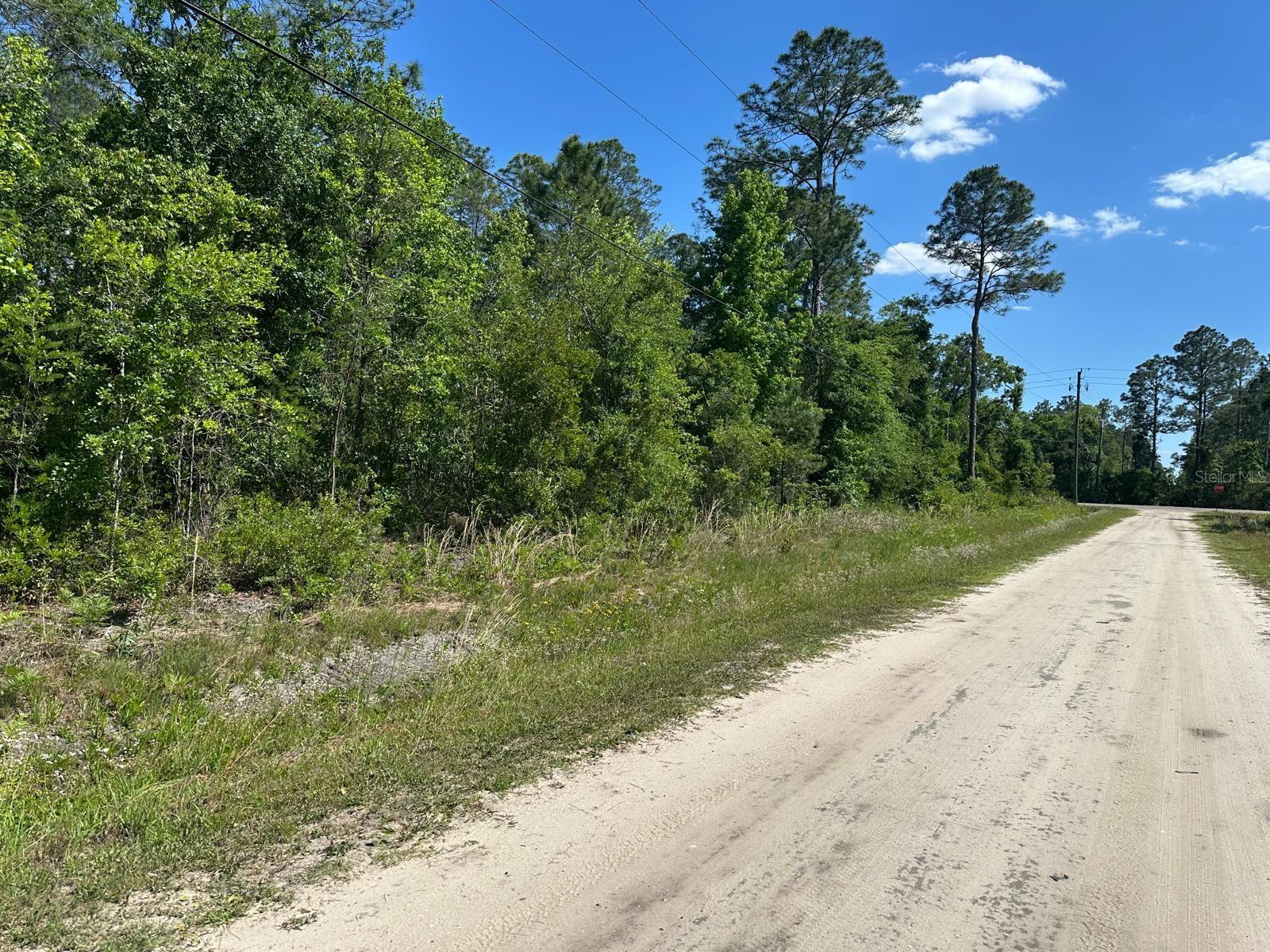 FLAGLER ESTATES TR 1032 - Land