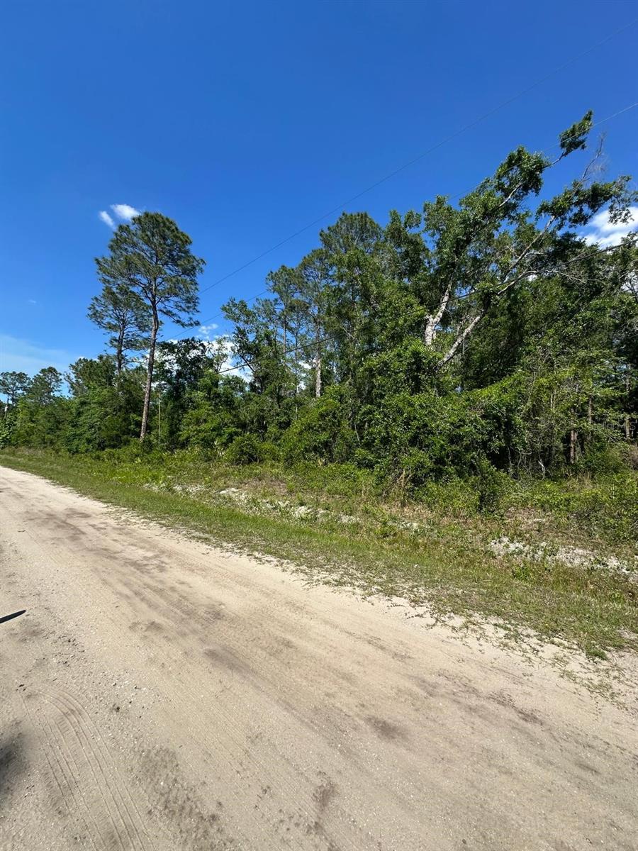 FLAGLER ESTATES TR 1032 - Land