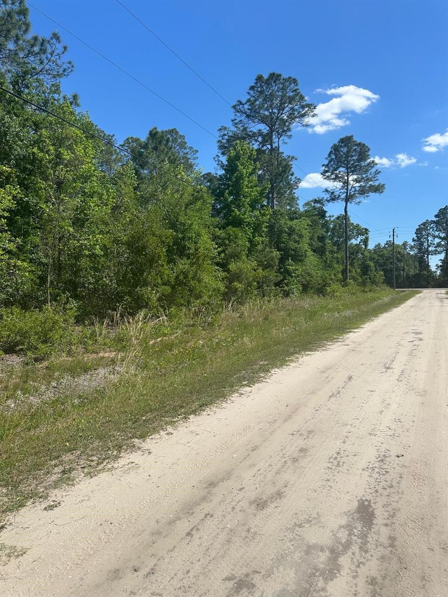 FLAGLER ESTATES TR 1032 - Land