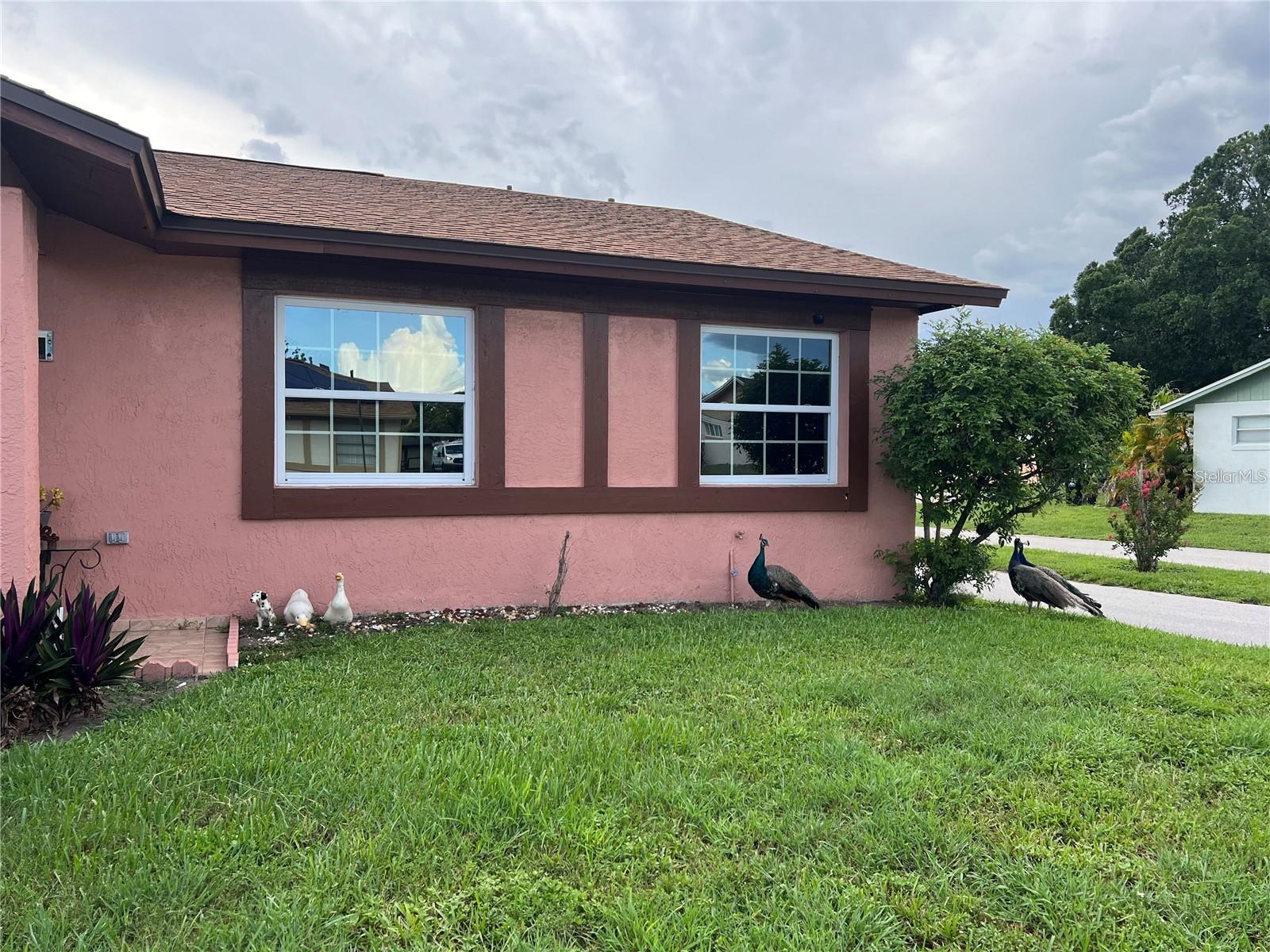 VILLAS COSTA DEL SOL - Residential