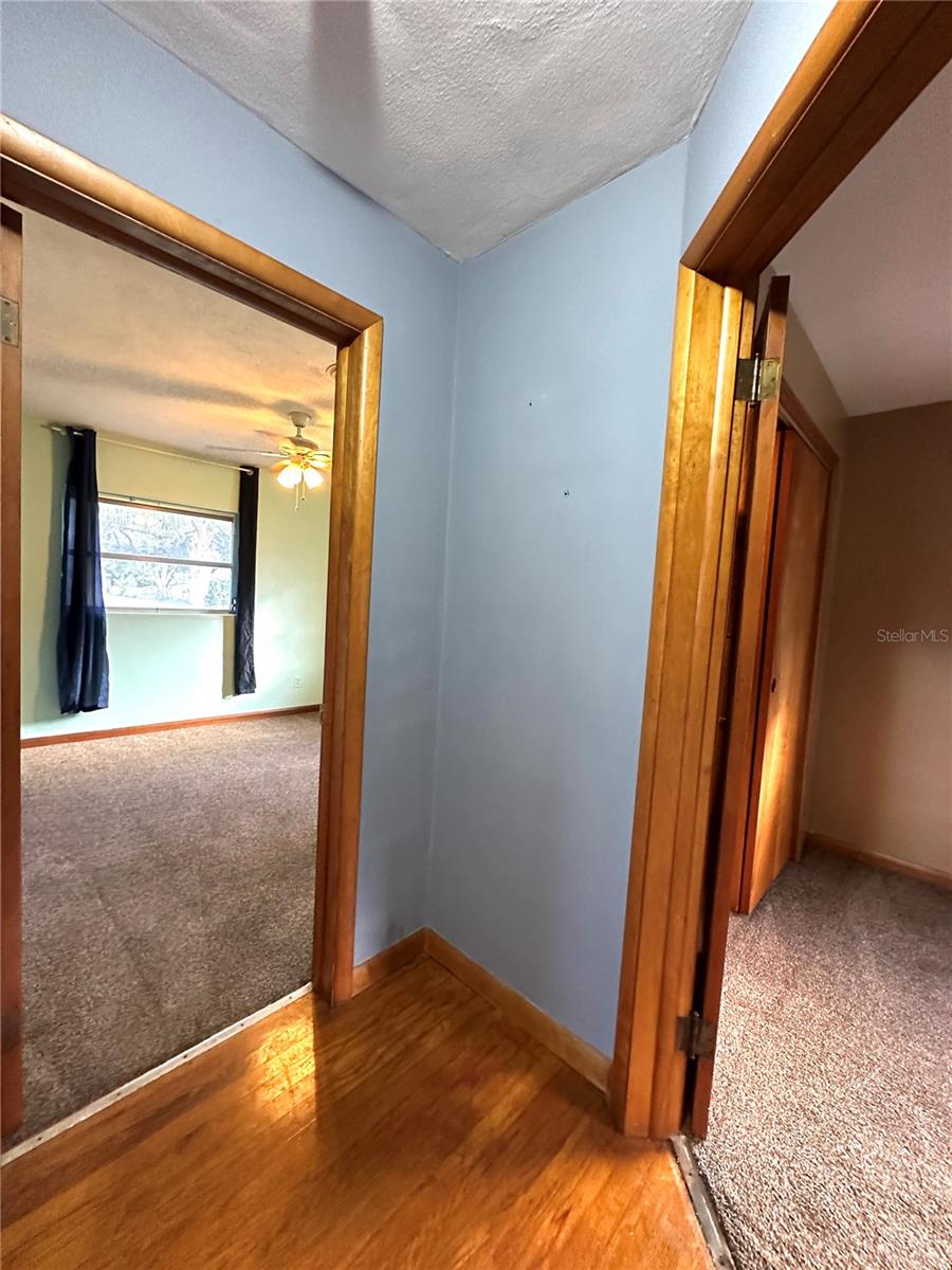 SEMINOLE LAND & INVESTMENT COS - Residential Lease